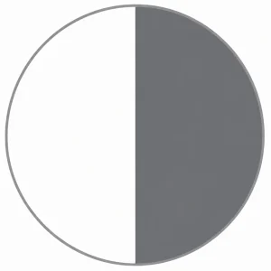 سفیدطوسی